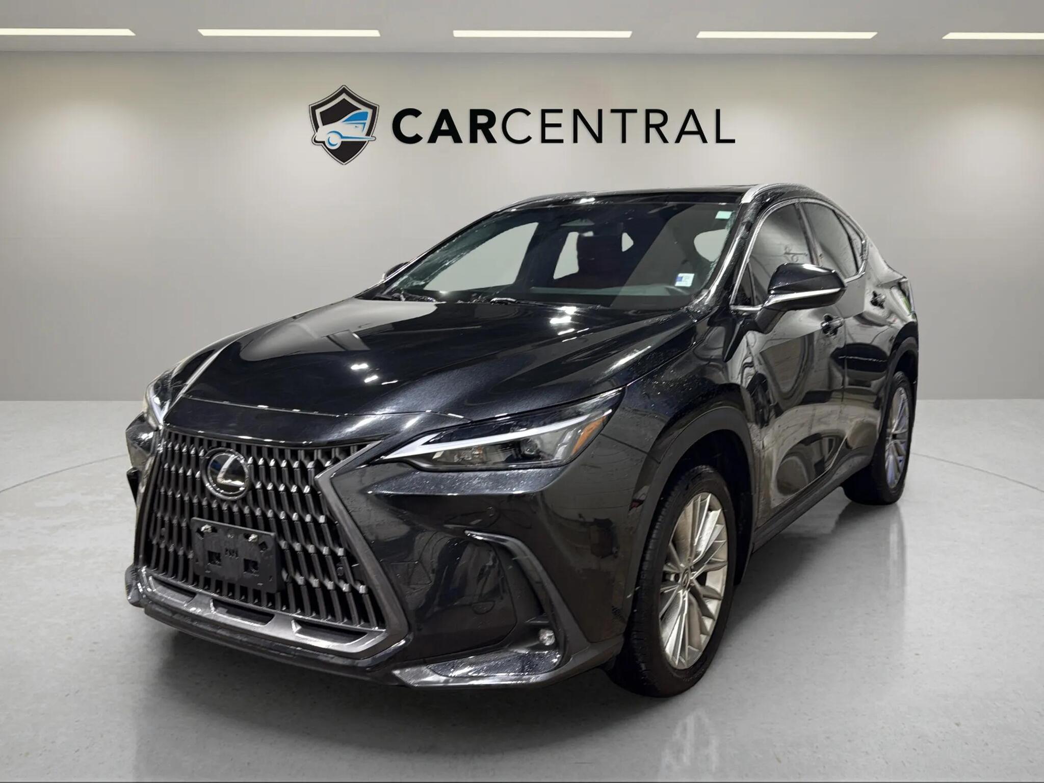 2024 Lexus NX