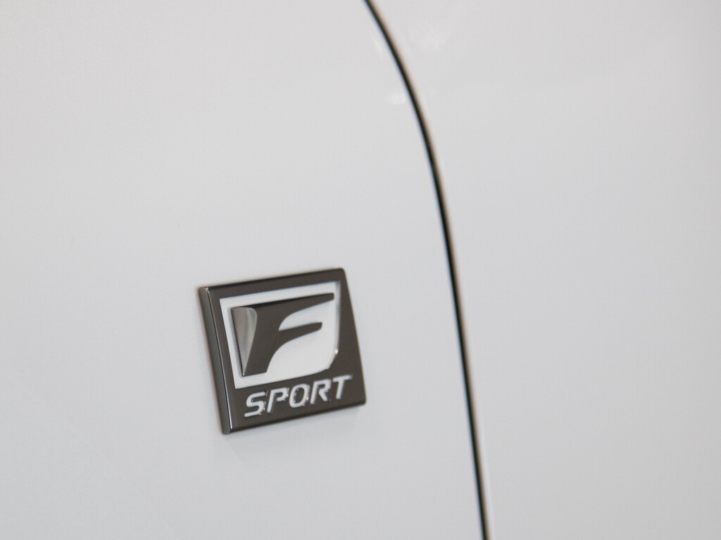 2021 Lexus NX 300 NX 300   F SPORT 2   AWD   PANO   2 TONE INTERIOR, 多伦多, 全款车
