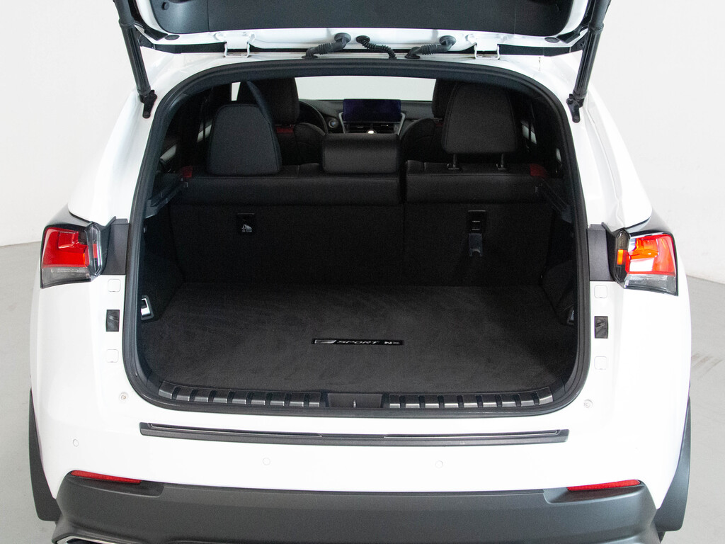 2021 Lexus NX 300 NX 300   F SPORT 2   AWD   PANO   2 TONE INTERIOR, 多伦多, 全款车
