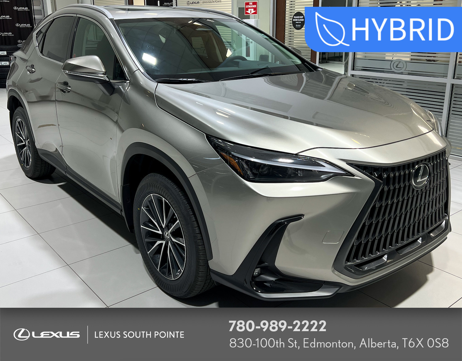 2025 Lexus NX 350h