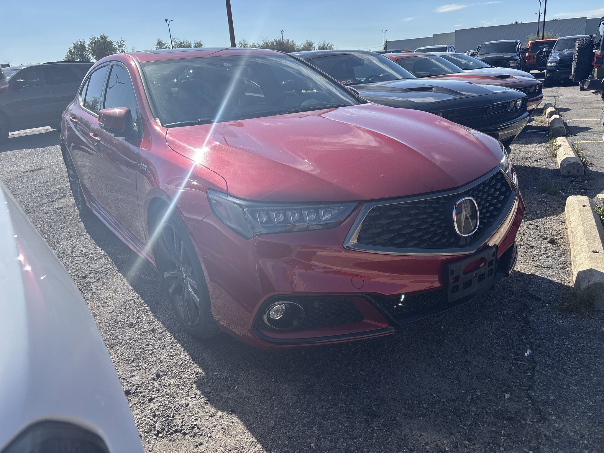 2020 Acura TLX