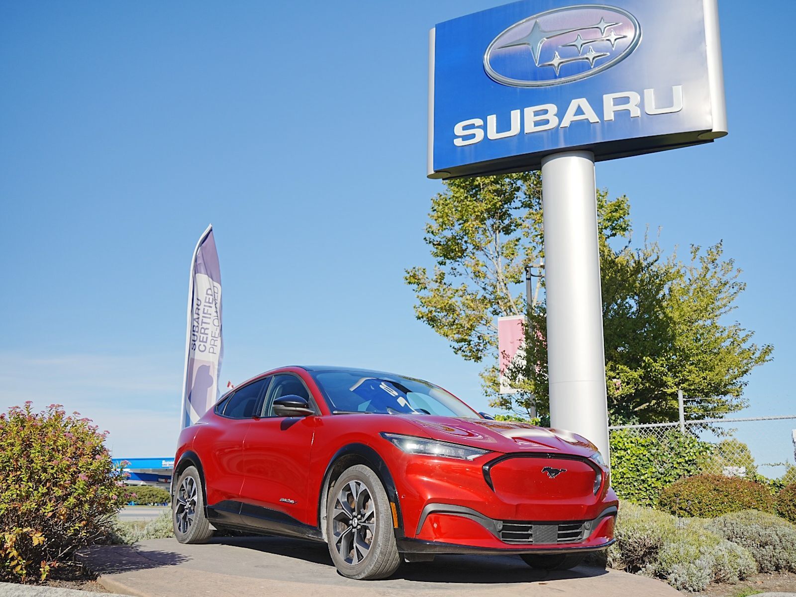 2021 Ford Mustang Mach-E