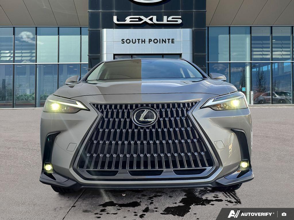 2024 Lexus NX 250