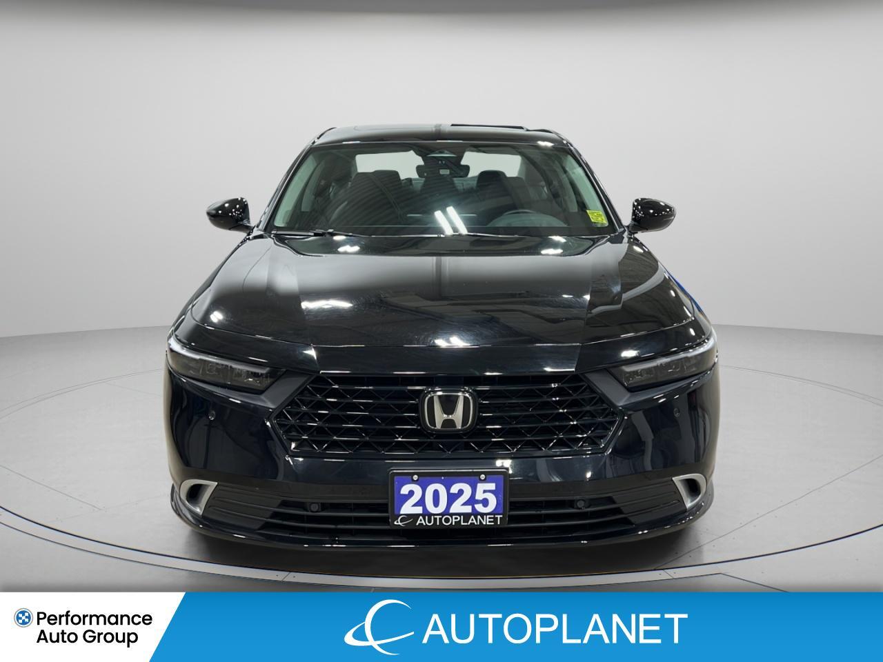 2025 Honda Accord Hybrid