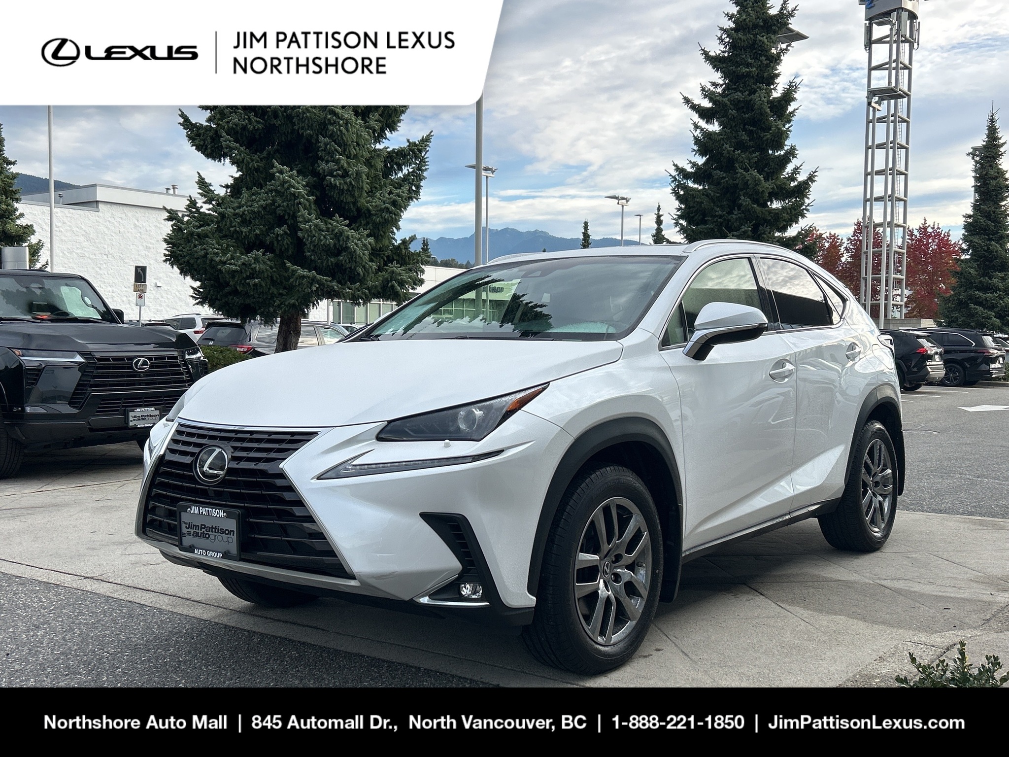 2019 Lexus NX 300