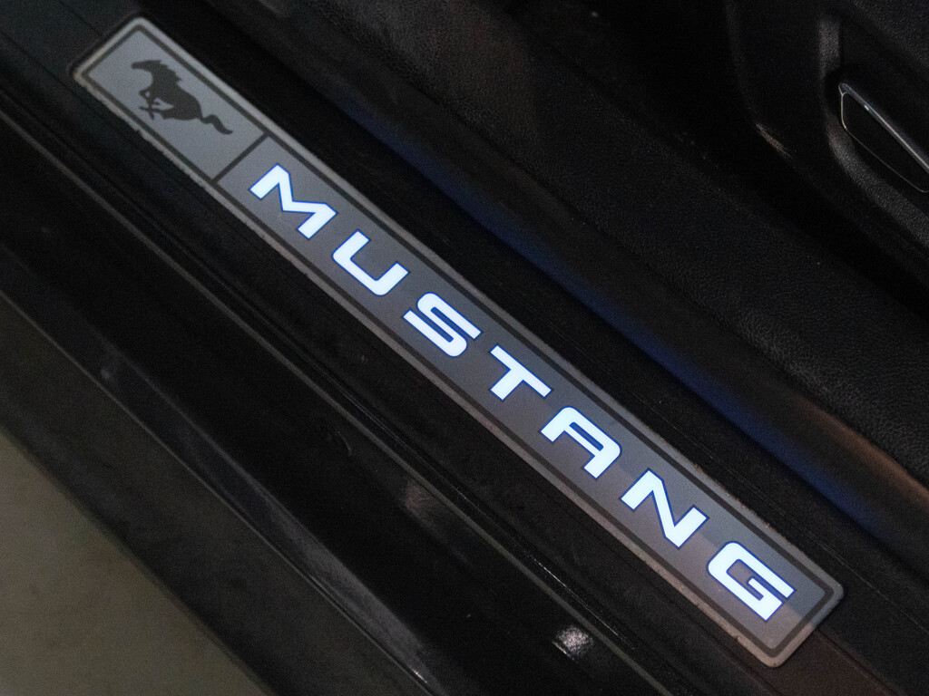 2016 Ford Mustang EcoBoost Premium, Toronto, Cash