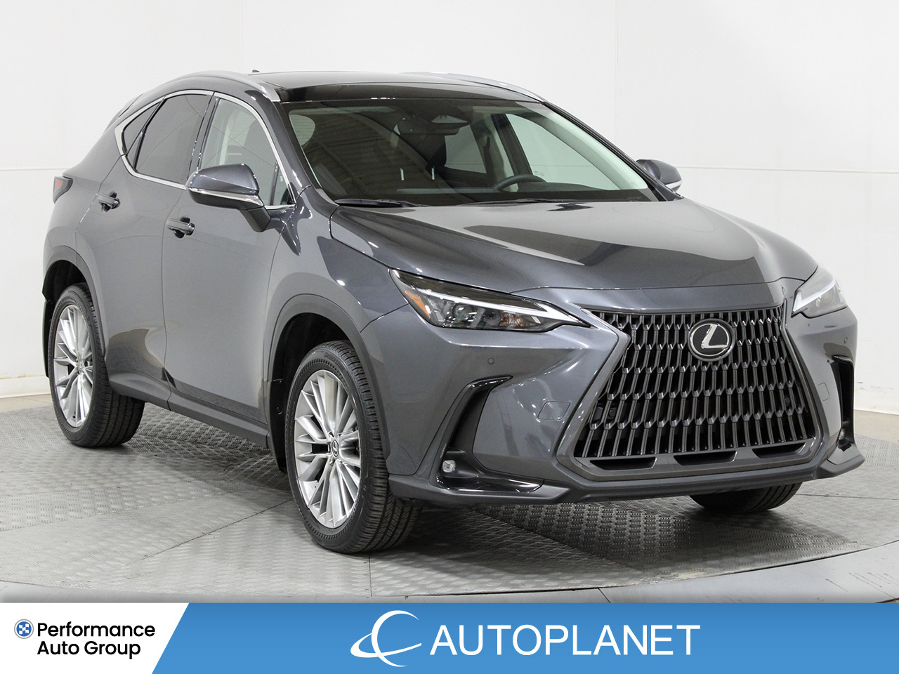 2024 Lexus NX 300h