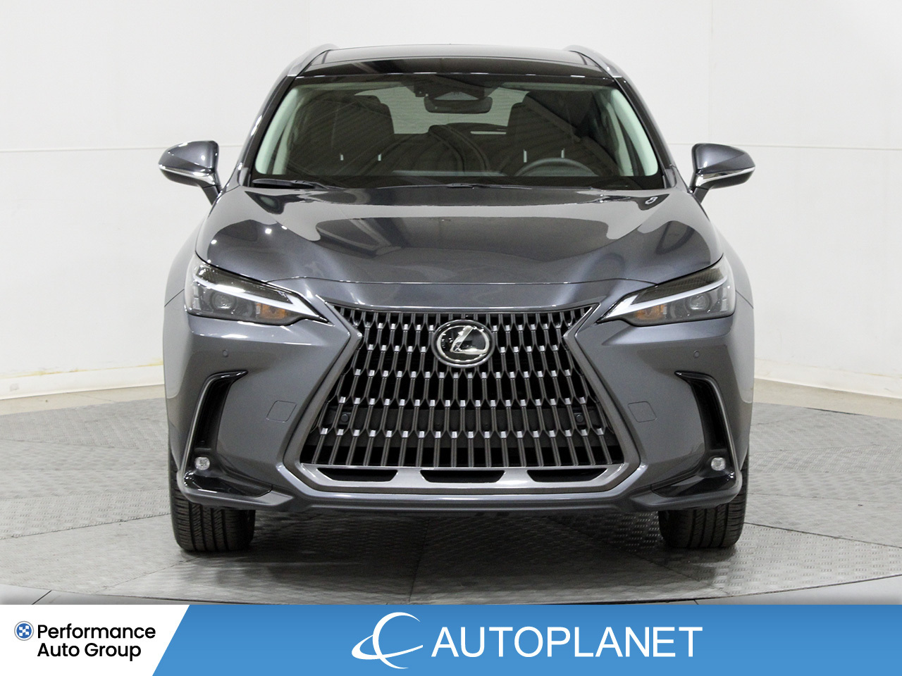 2024 Lexus NX 300h