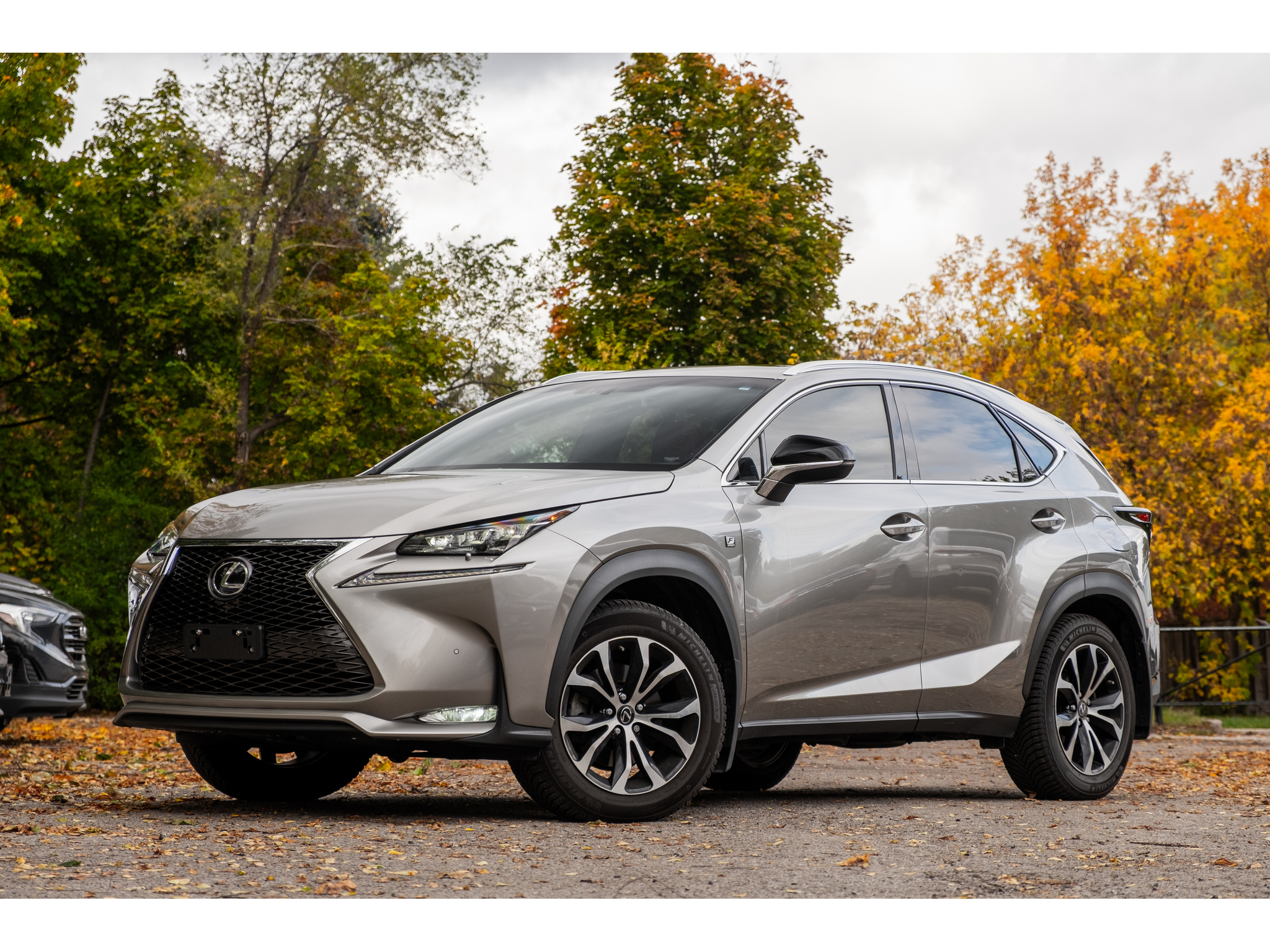 2015 Lexus NX 200t