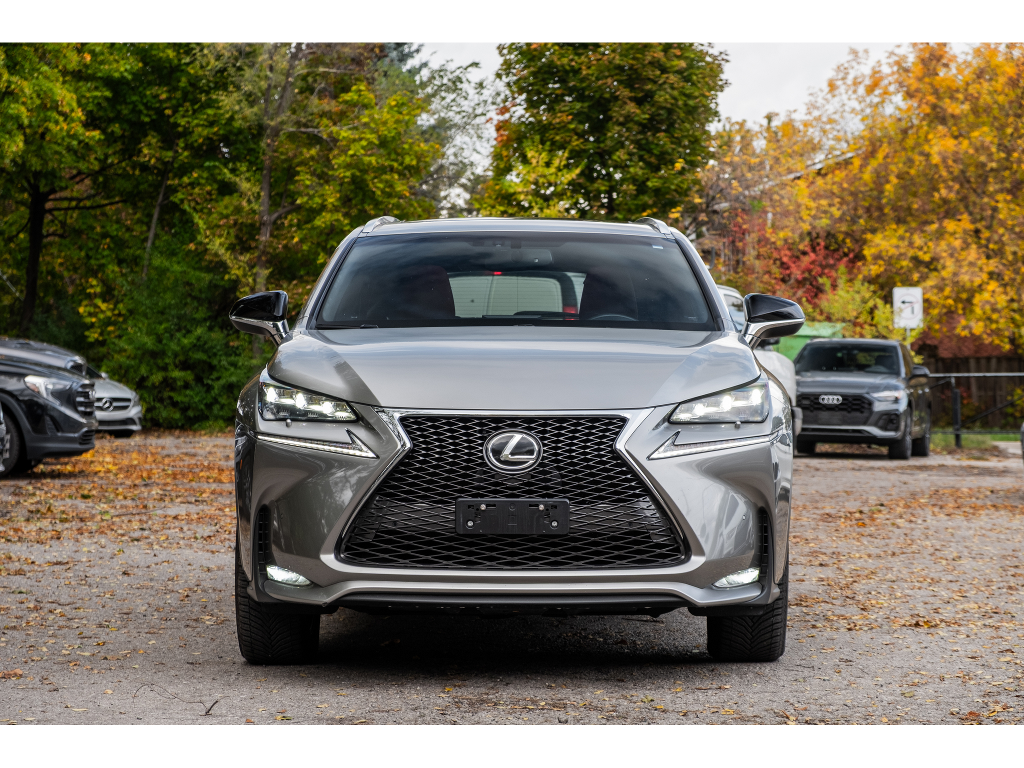 2015 Lexus NX 200t