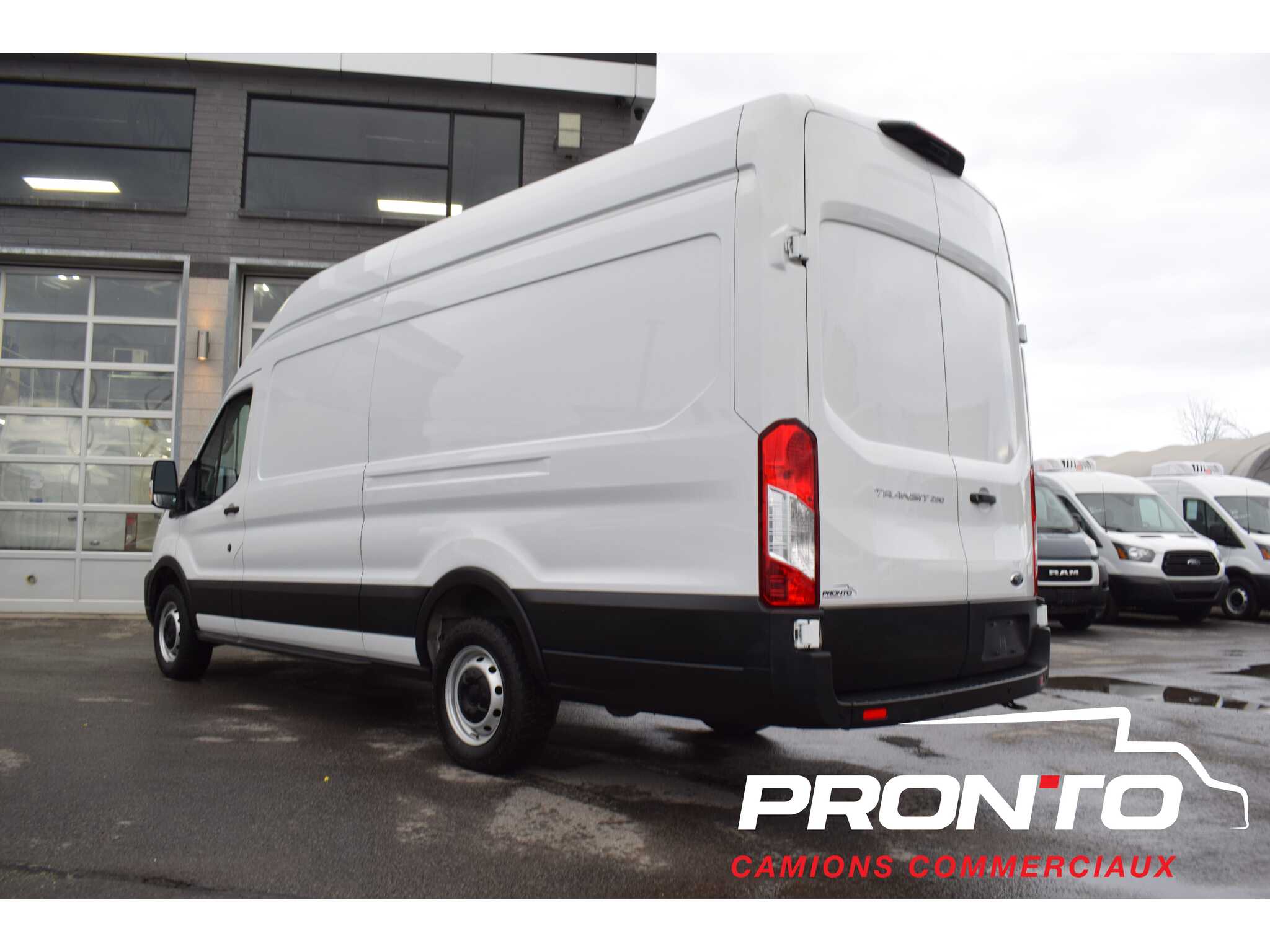 2021 Ford Transit Cargo Van