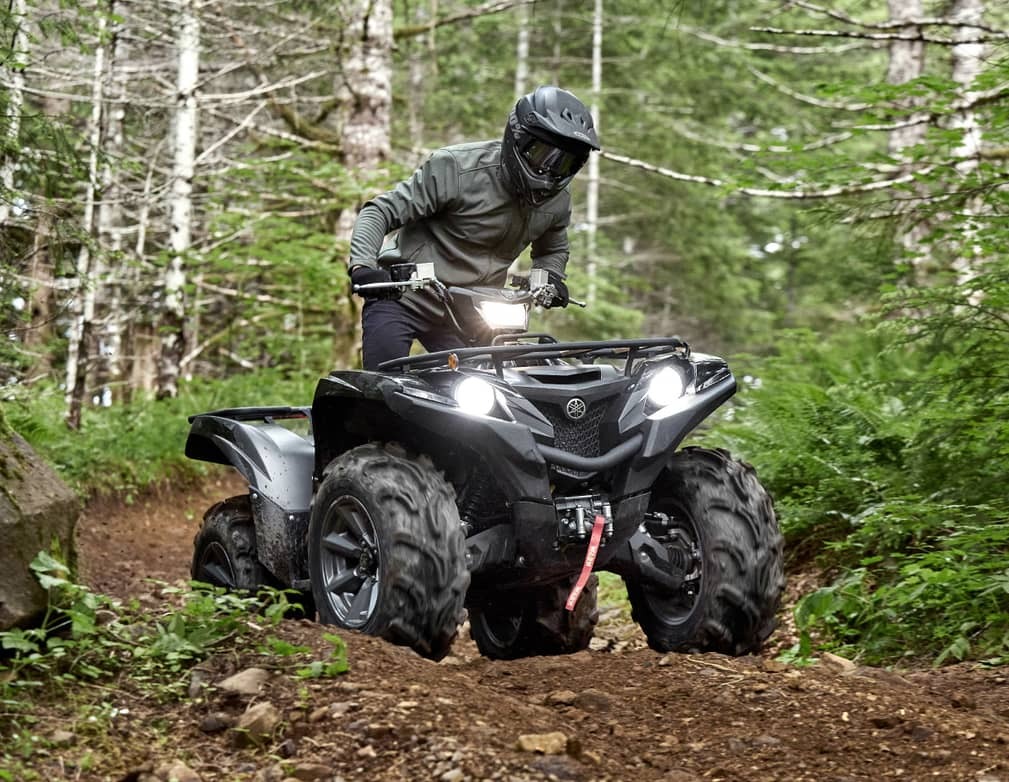 2025 Yamaha Grizzly EPS SE