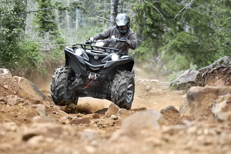 2025 Yamaha Grizzly EPS SE