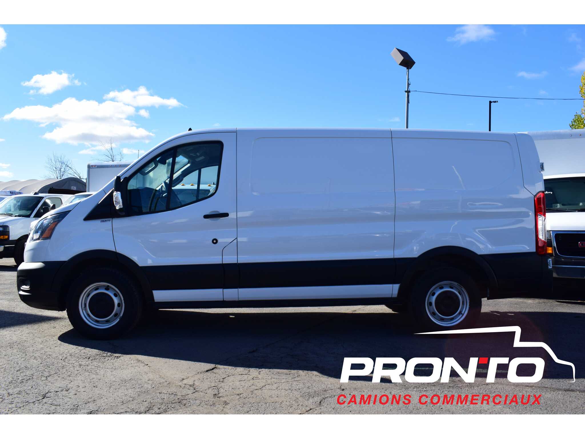 2021 Ford Transit Cargo Van