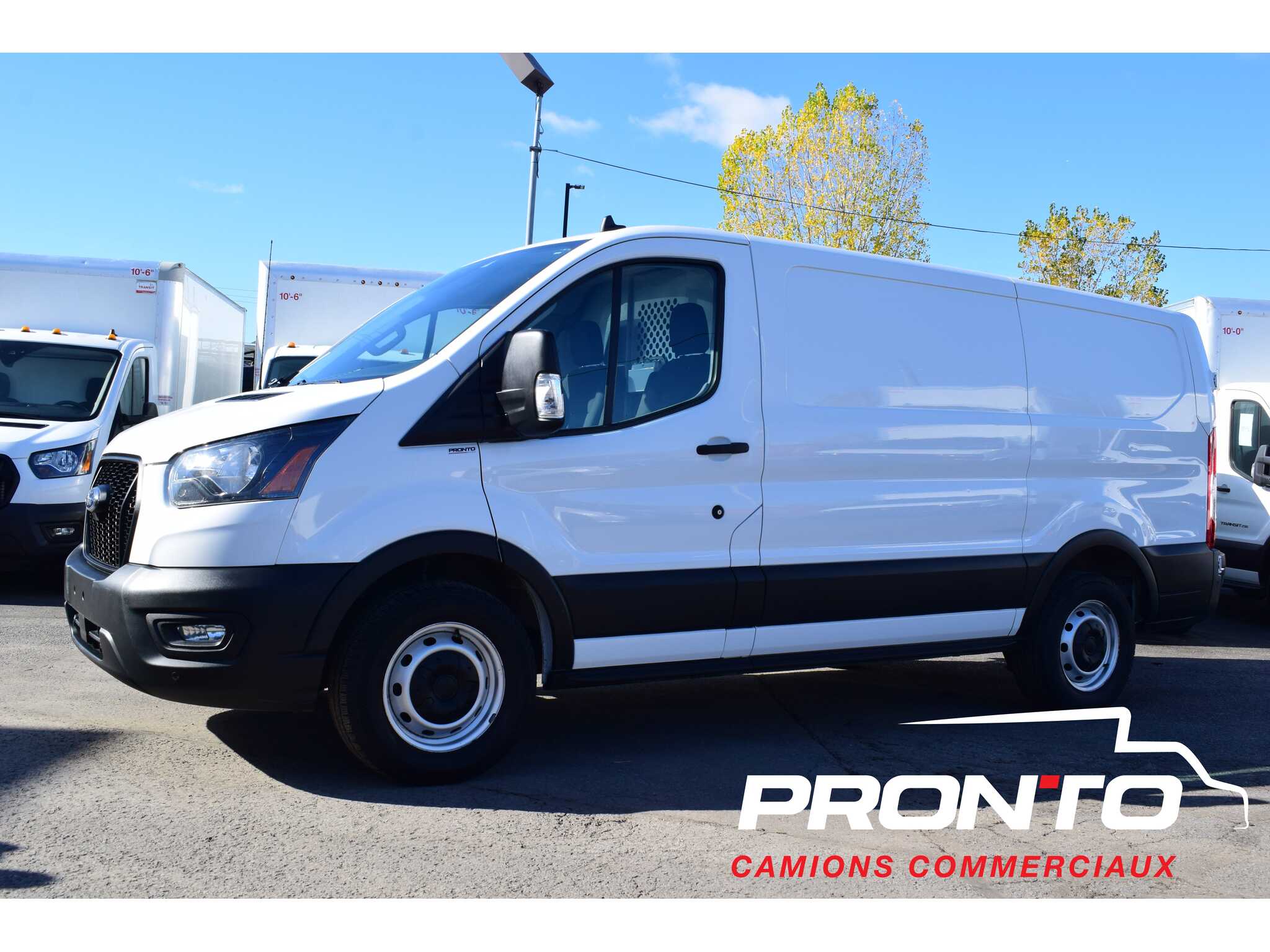 2021 Ford Transit Cargo Van