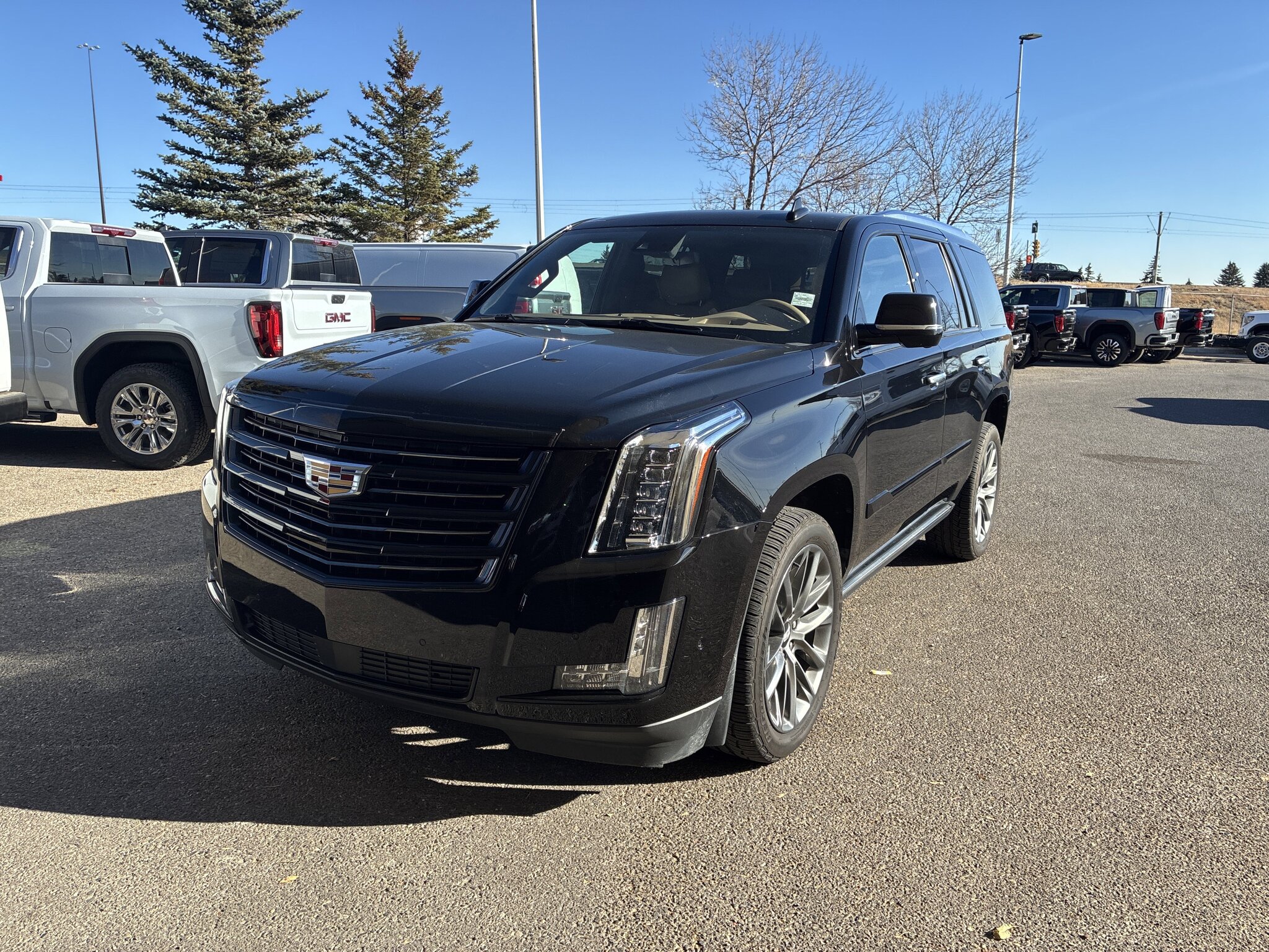 2020 Cadillac Escalade