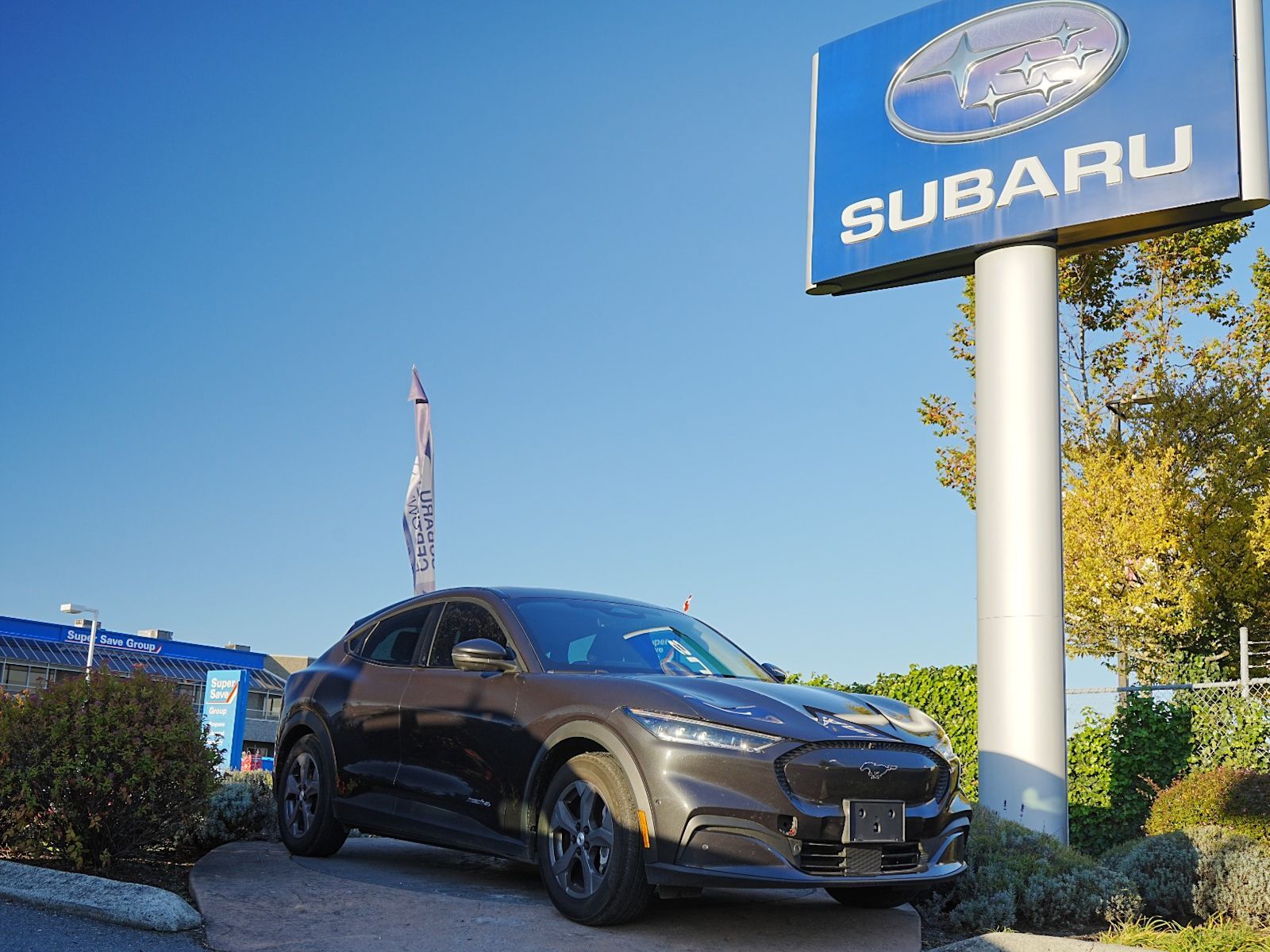 2022 Ford Mustang Mach-E