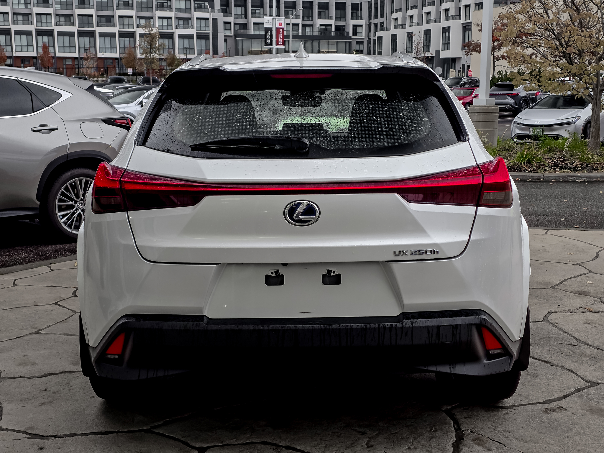 2022 Lexus UX