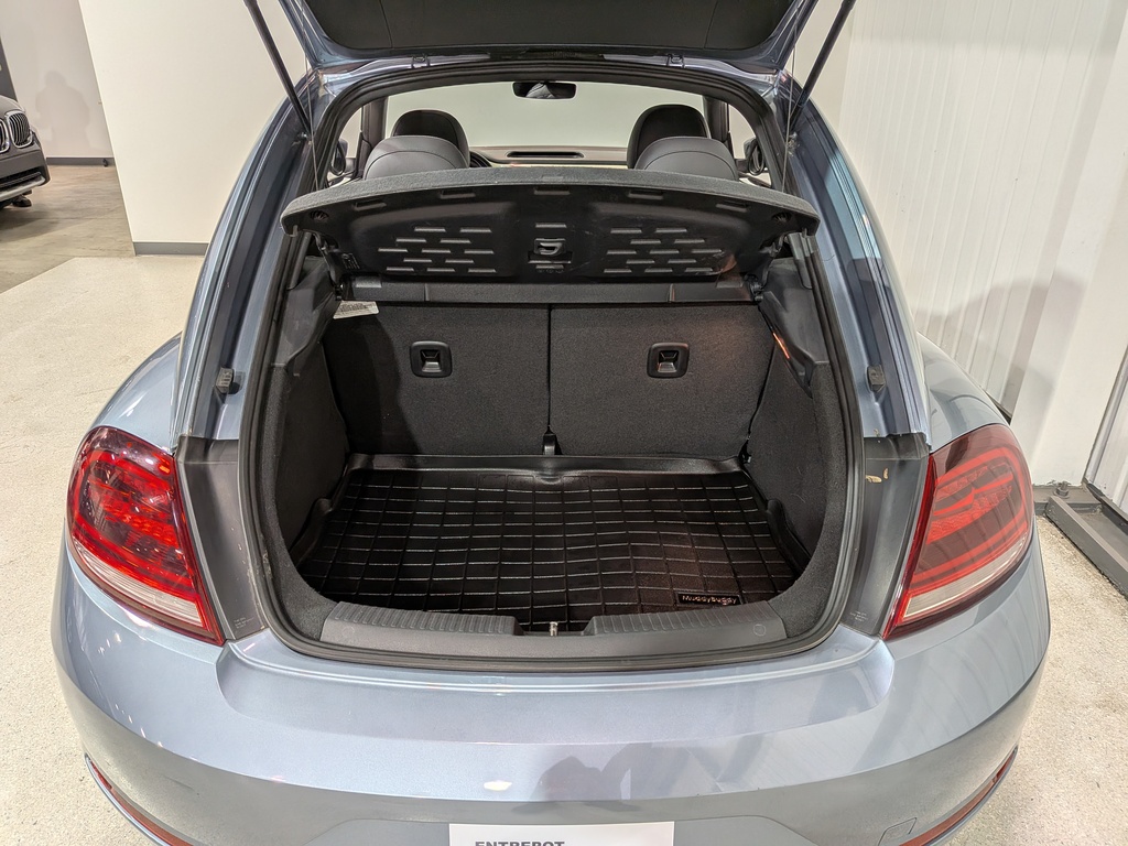 Volkswagen Beetle 2019