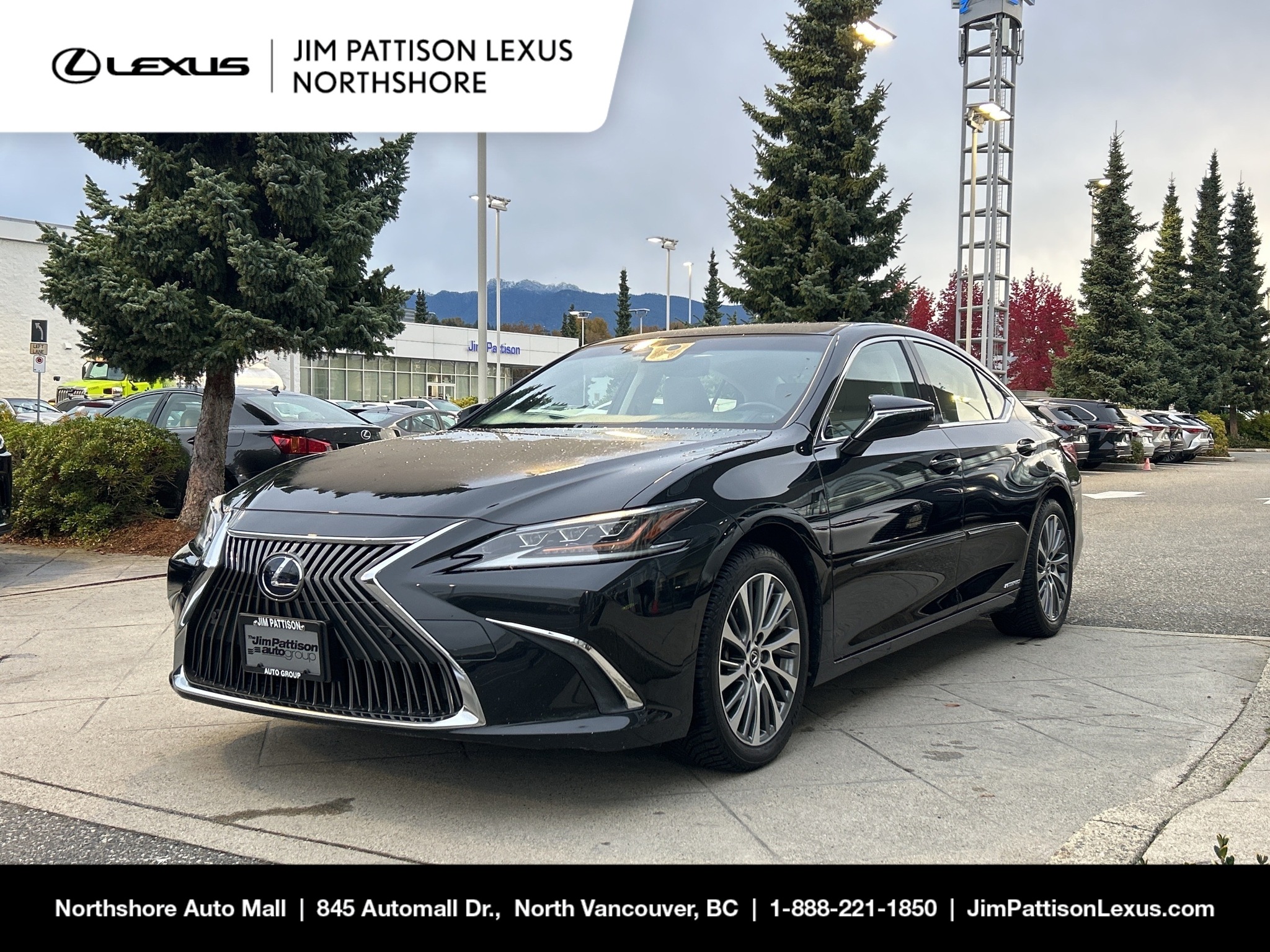 2019 Lexus ES 300h