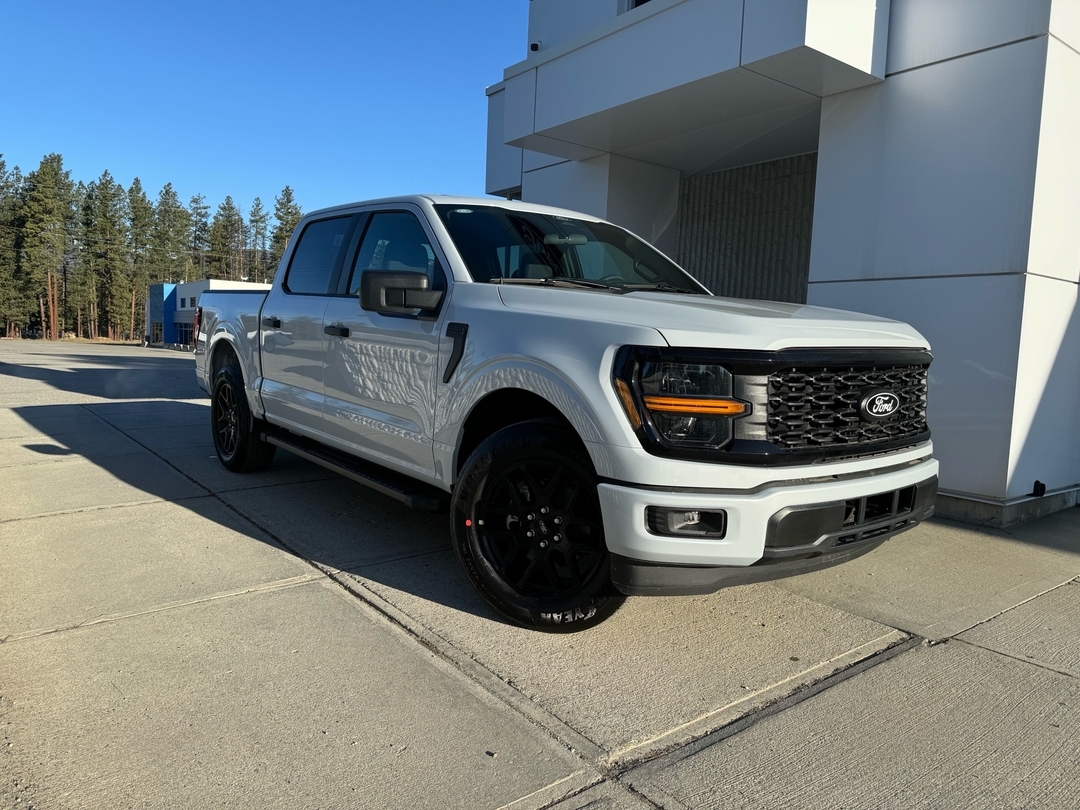 2025 Ford F-150 STX GET 0% UP TO 72 MONTHS! SUPERCREW, 55 BOX, 5.0