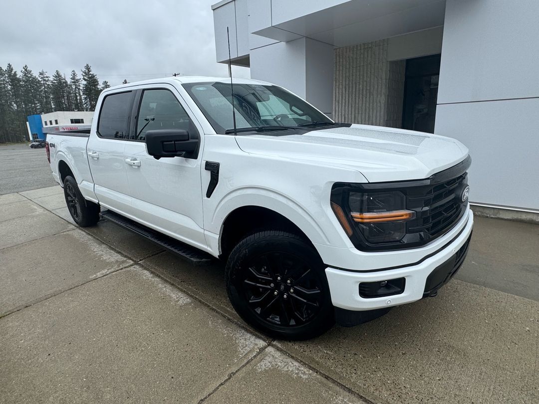 2025 Ford F-150 XLT GET 0% UP TO 72 MONTHS! 4X4, SUPERCREW, 3.5L E