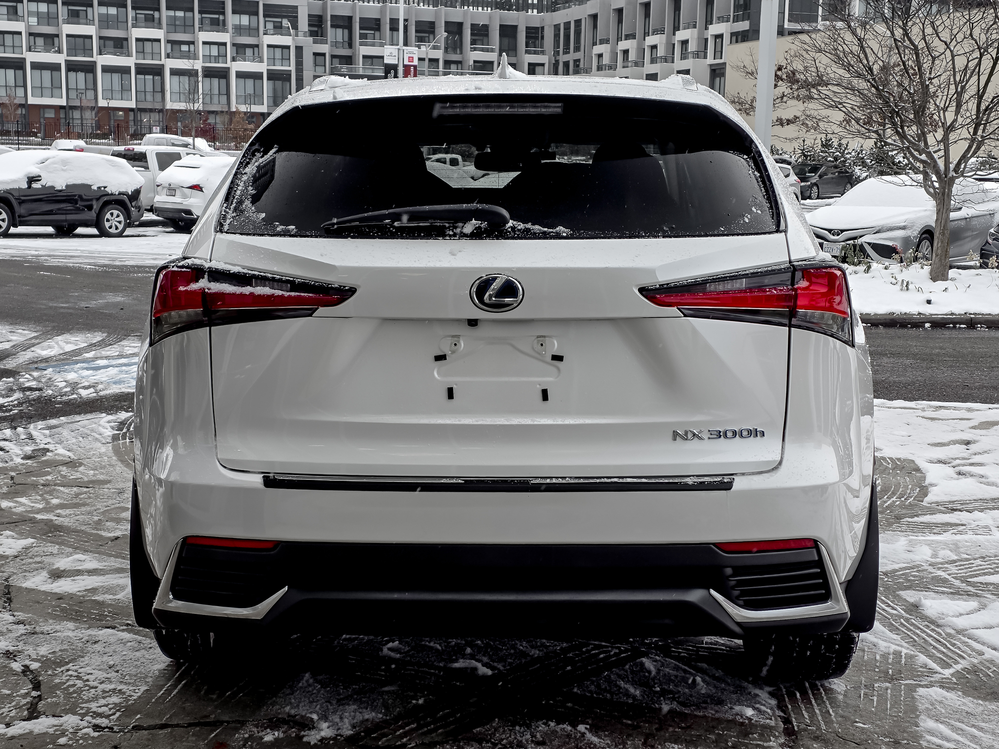 2018 Lexus NX