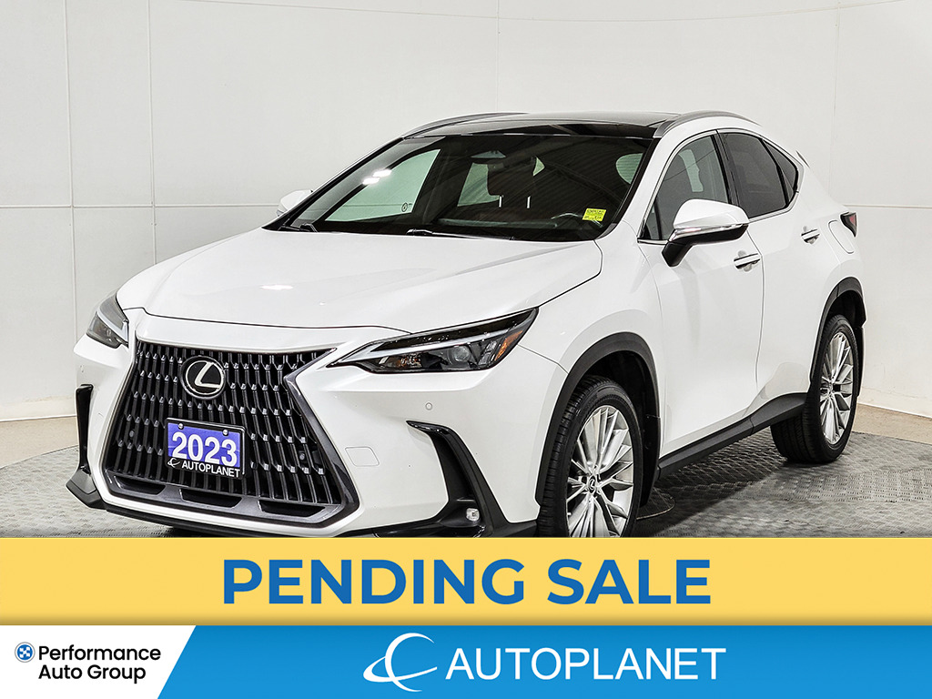 2023 Lexus NX 350h