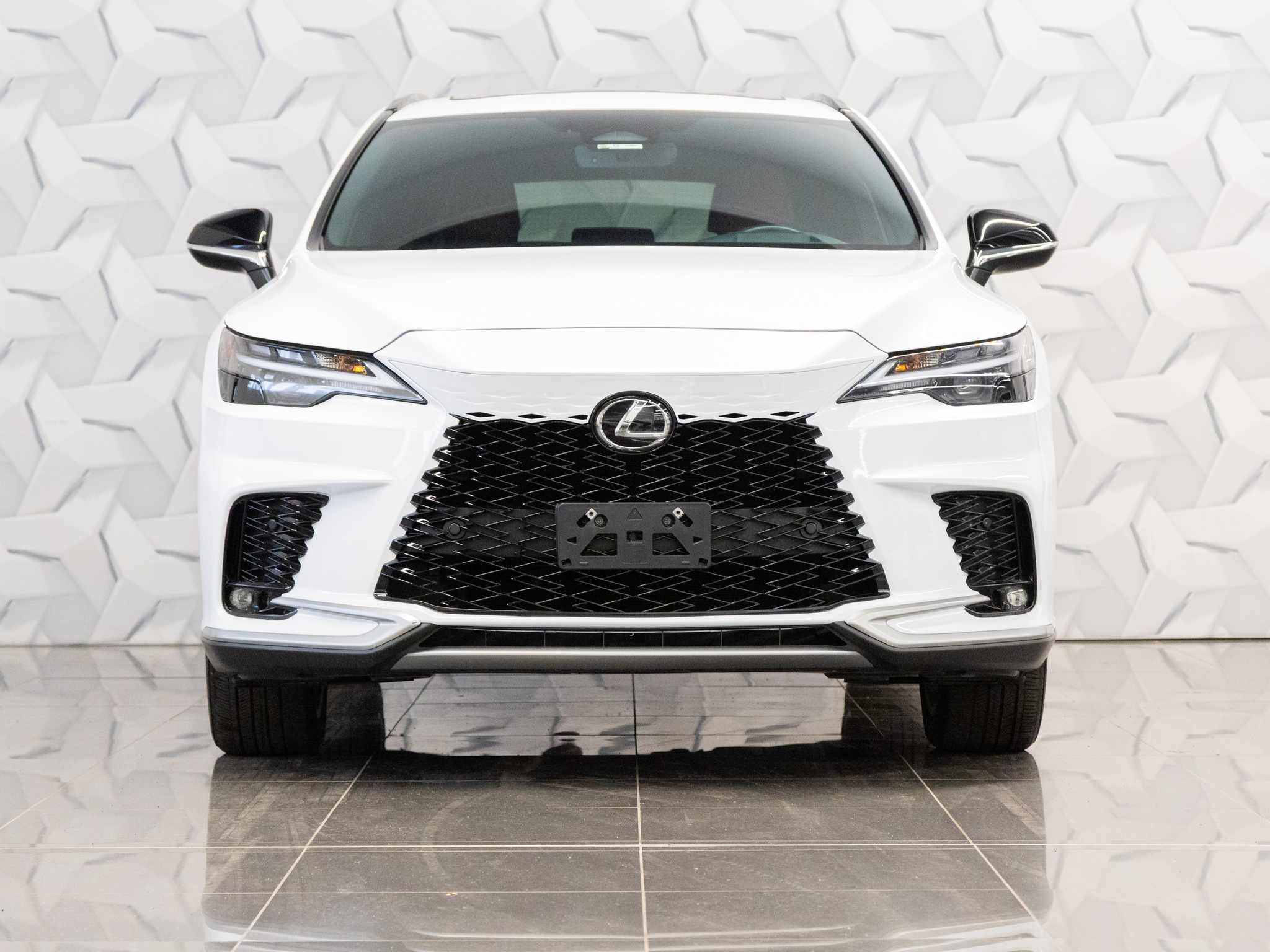 2024 Lexus RX
