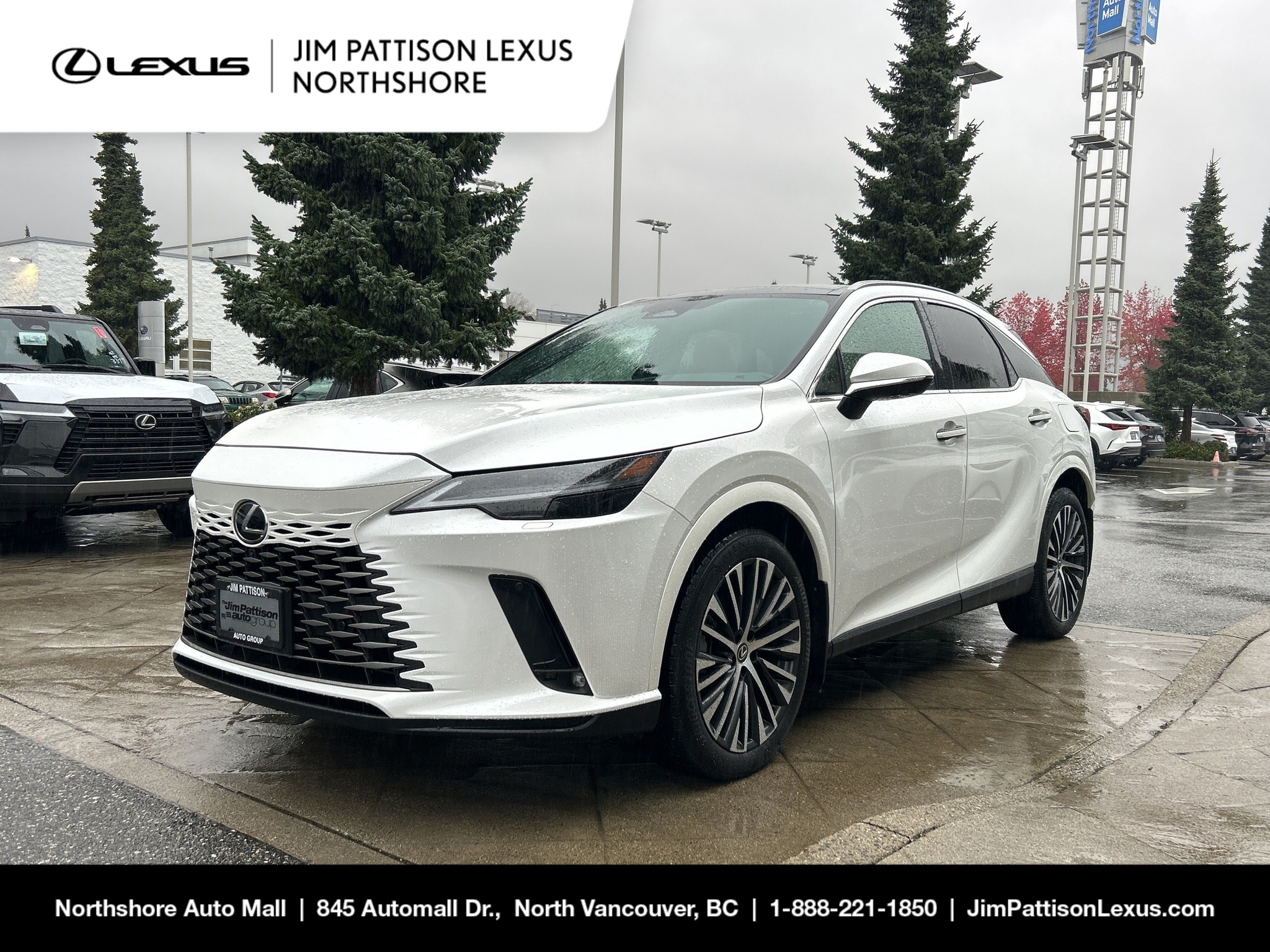 2024 Lexus RX