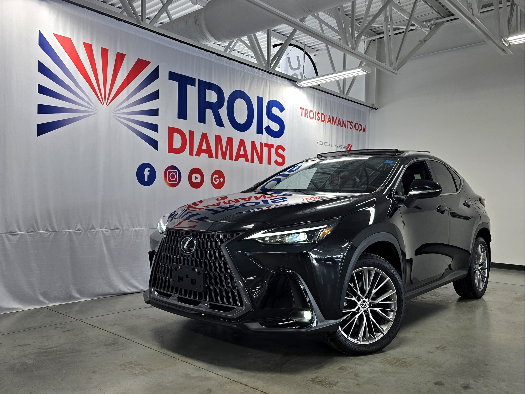 2023 Lexus NX