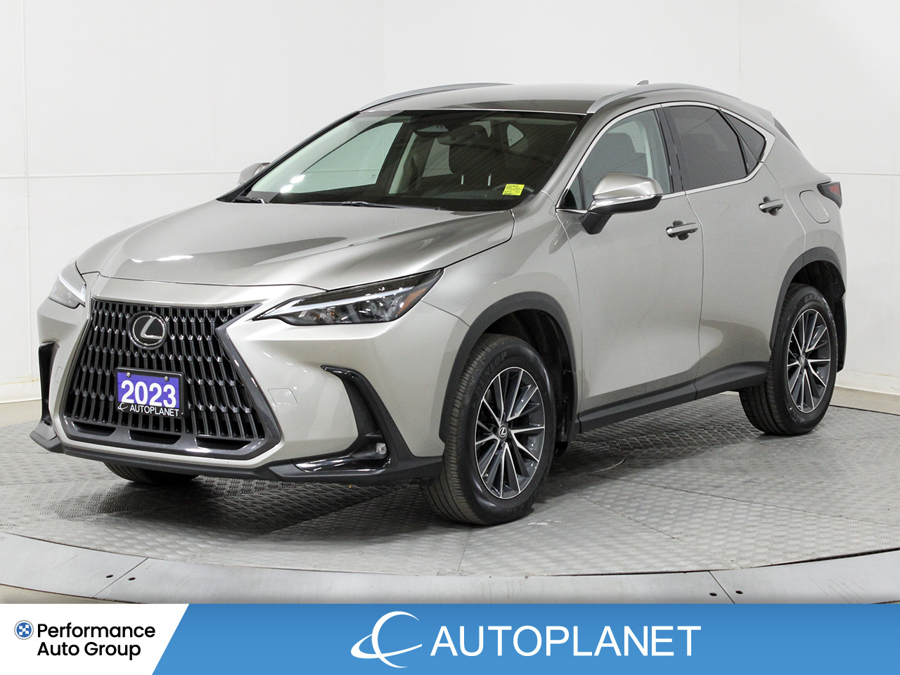 2023 Lexus NX 250