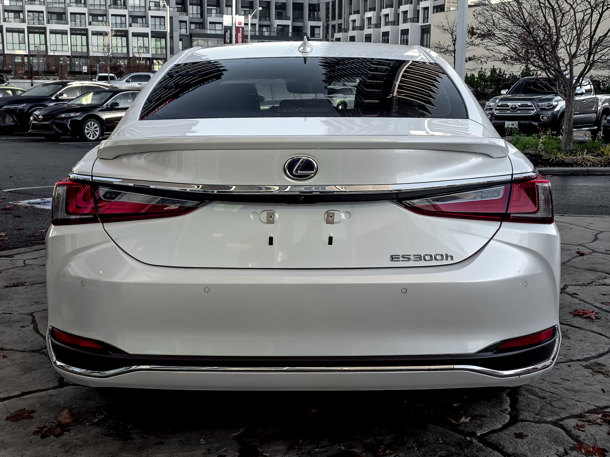2021 Lexus ES