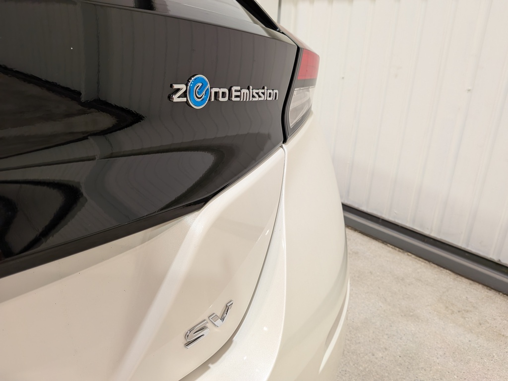 Nissan LEAF 2021