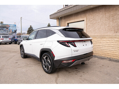 used 2023 Hyundai Tucson Hybrid car, priced at $36,988