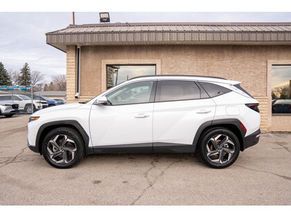 used 2023 Hyundai Tucson Hybrid car, priced at $36,988