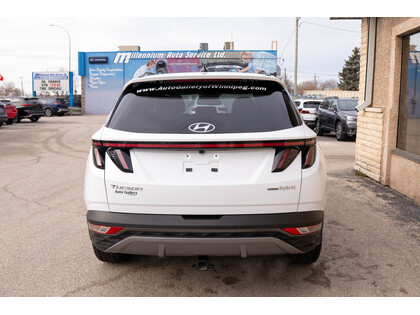 used 2023 Hyundai Tucson Hybrid car, priced at $36,988