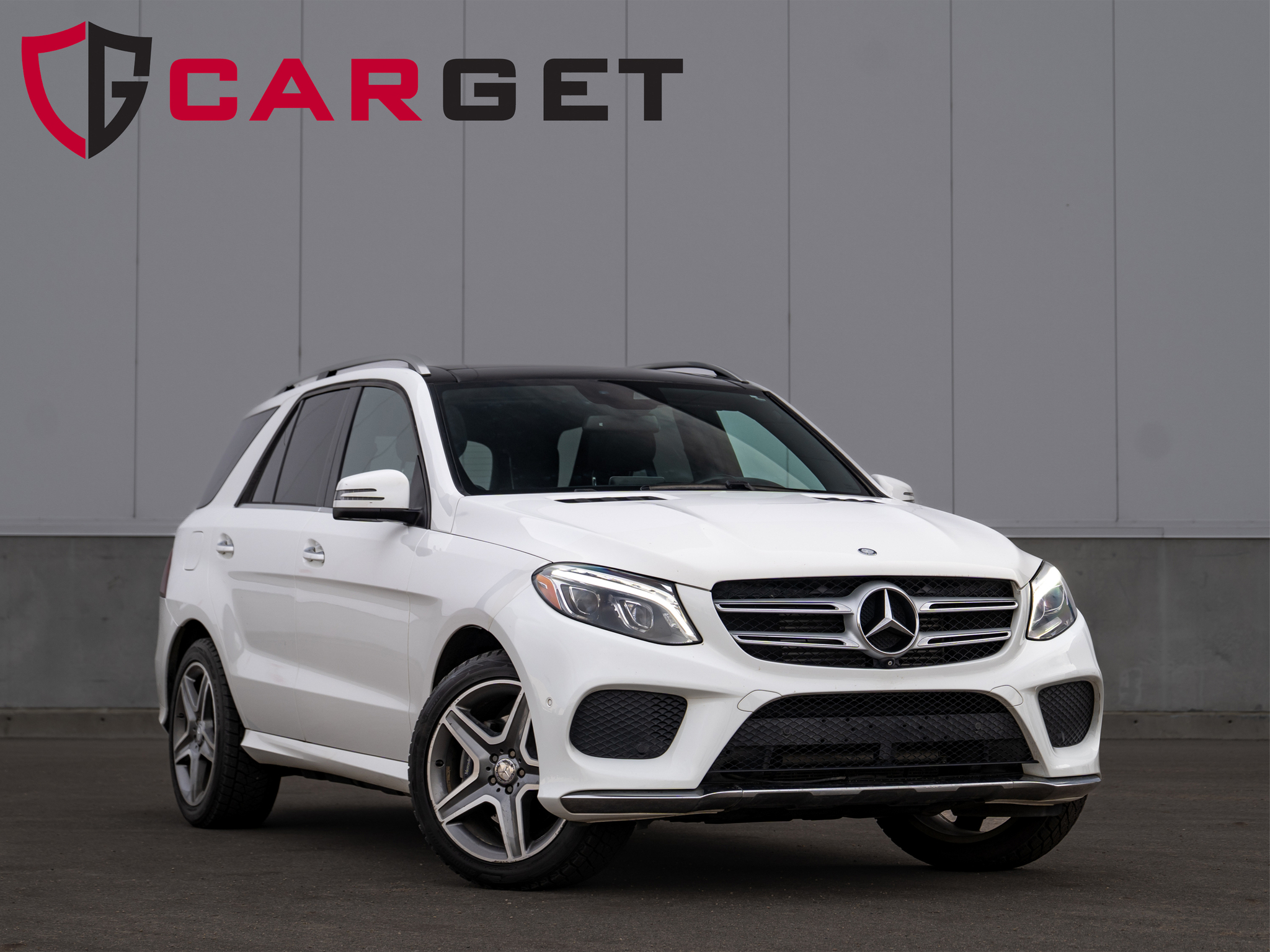 2016 Mercedes-Benz GLE