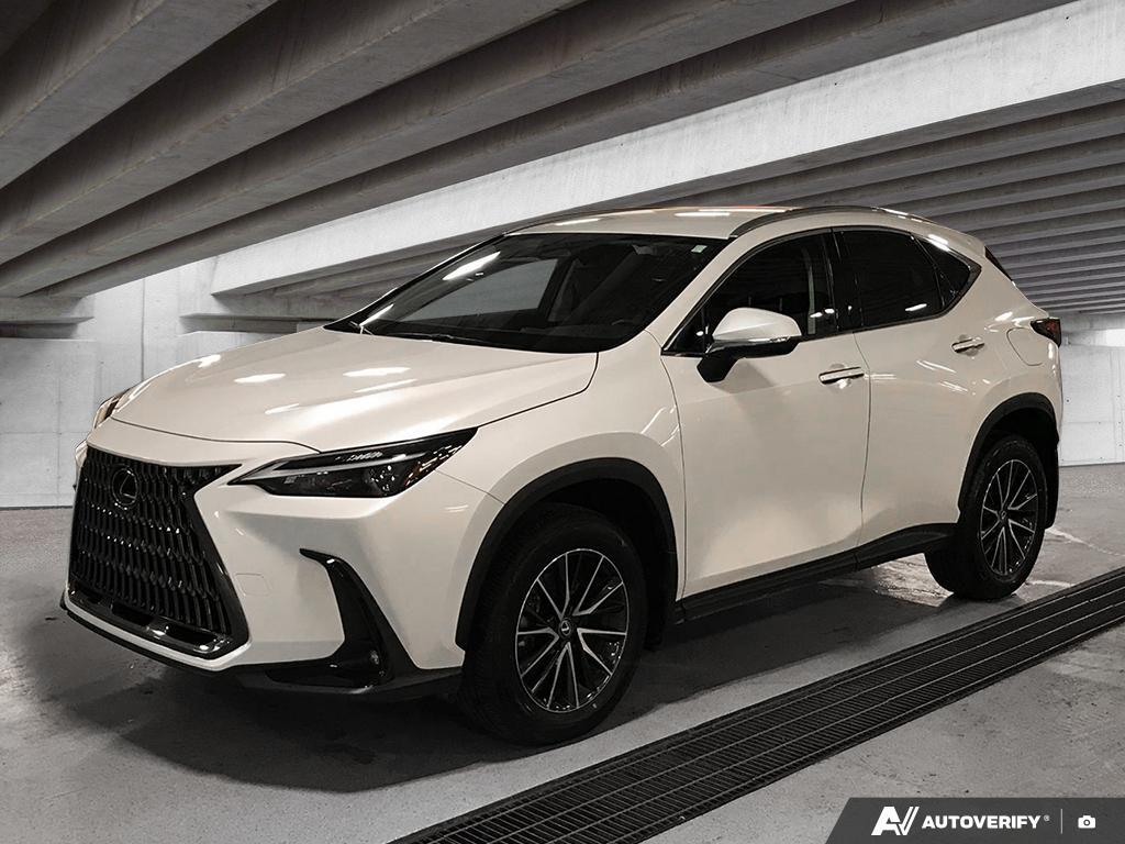 2024 Lexus NX 250 AWD