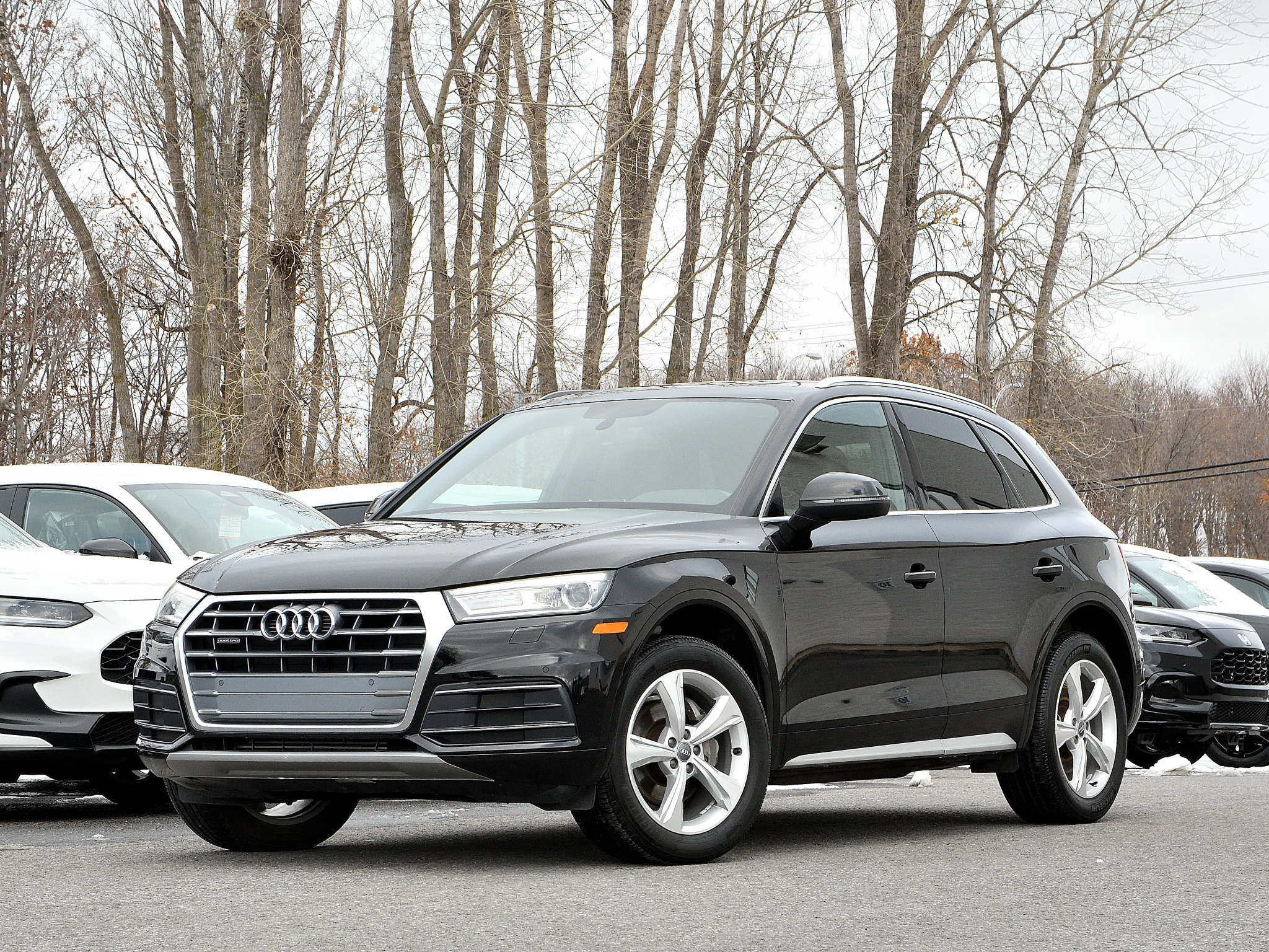 2019 Audi Q5