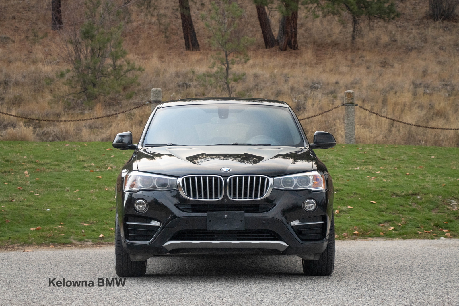 2015 BMW X4