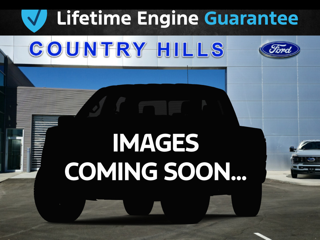 2025 Ford Transit Cargo Van