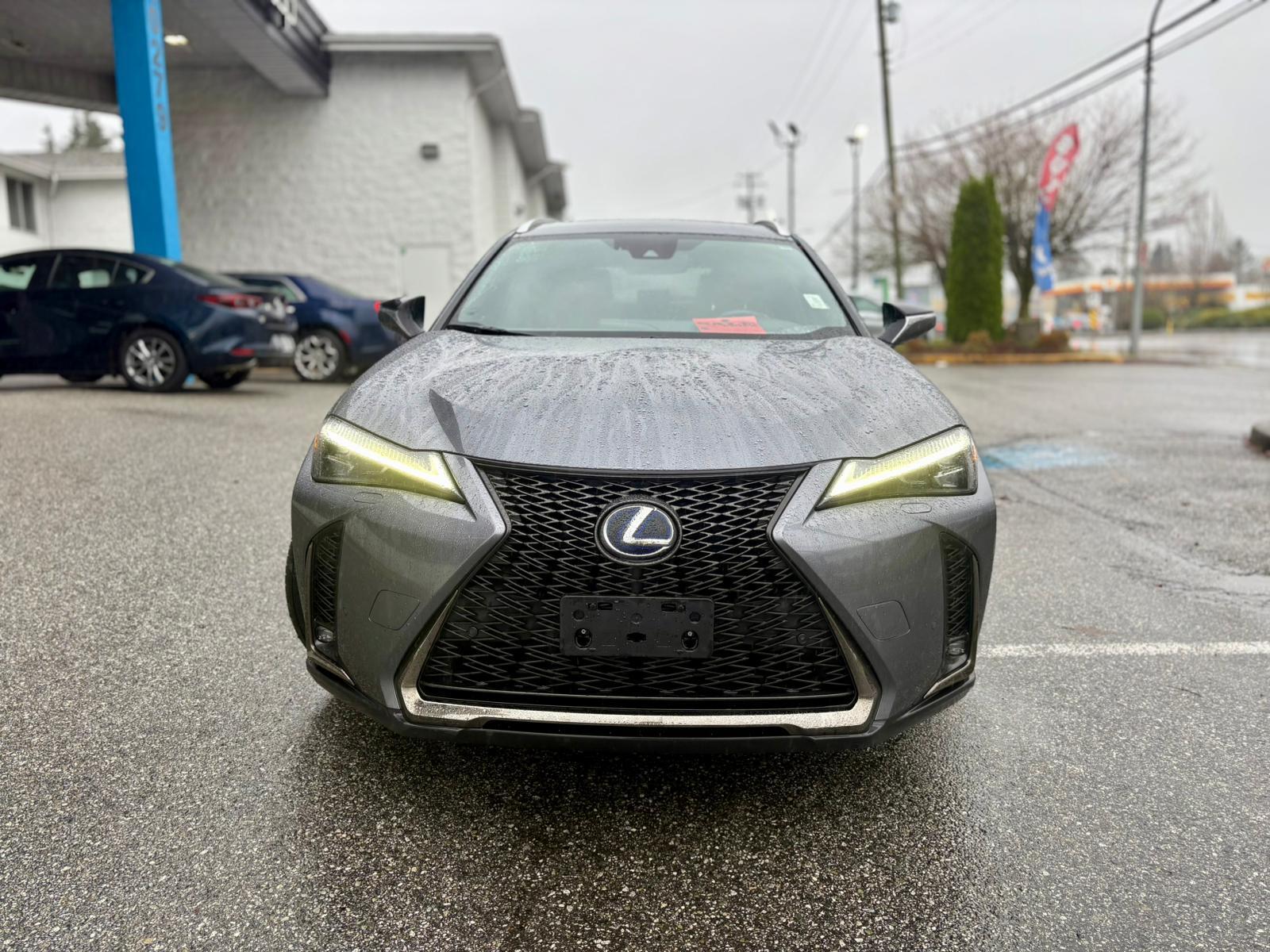2020 Lexus UX