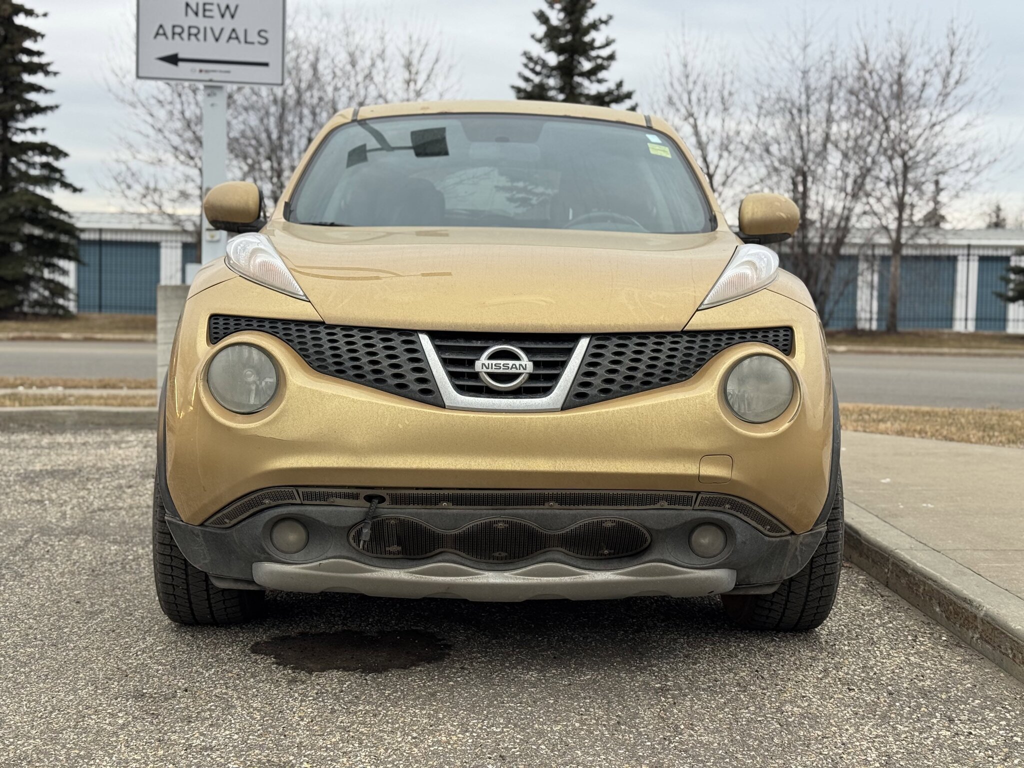 2013 Nissan Juke