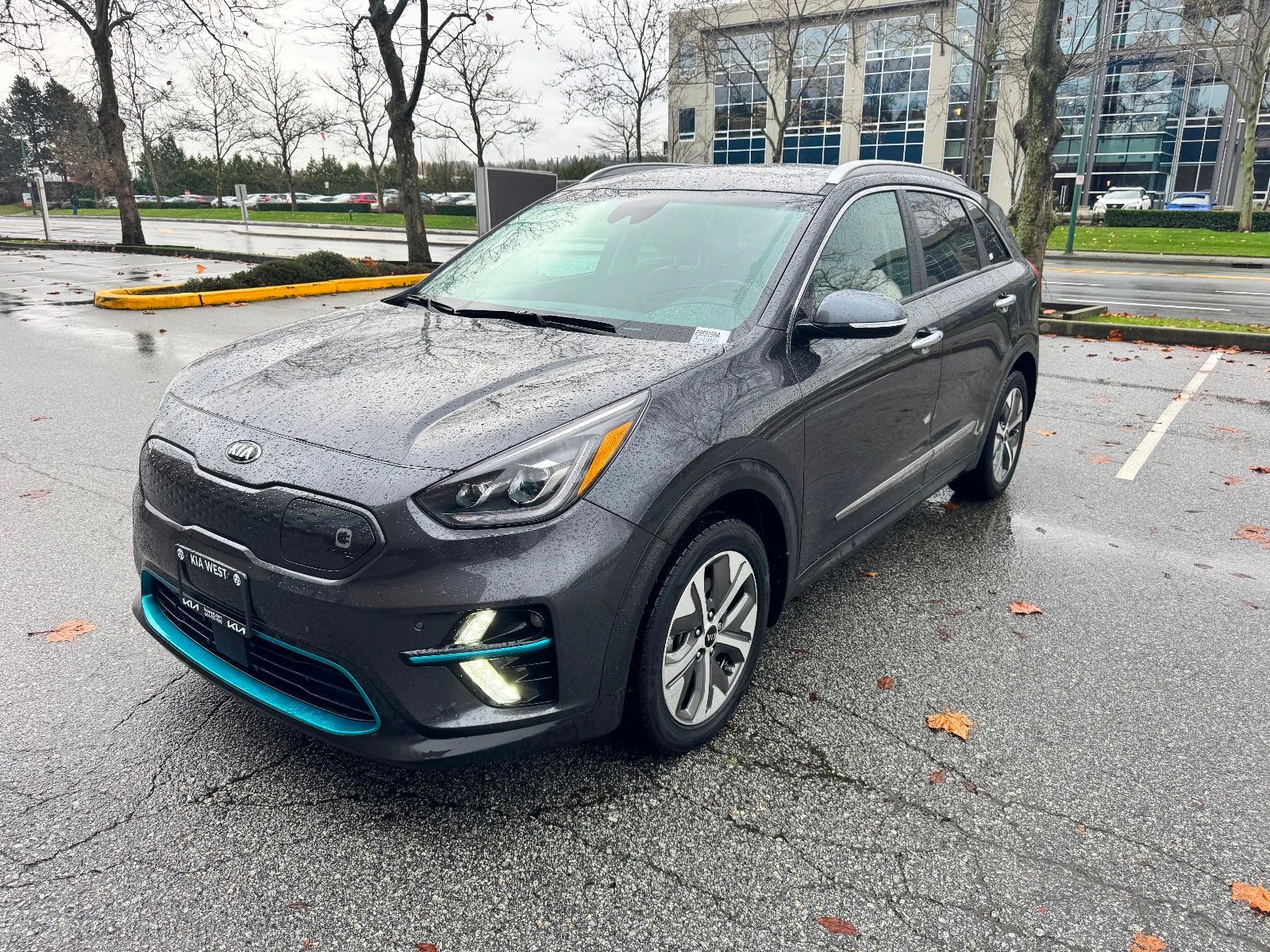 2019 Kia Niro EV