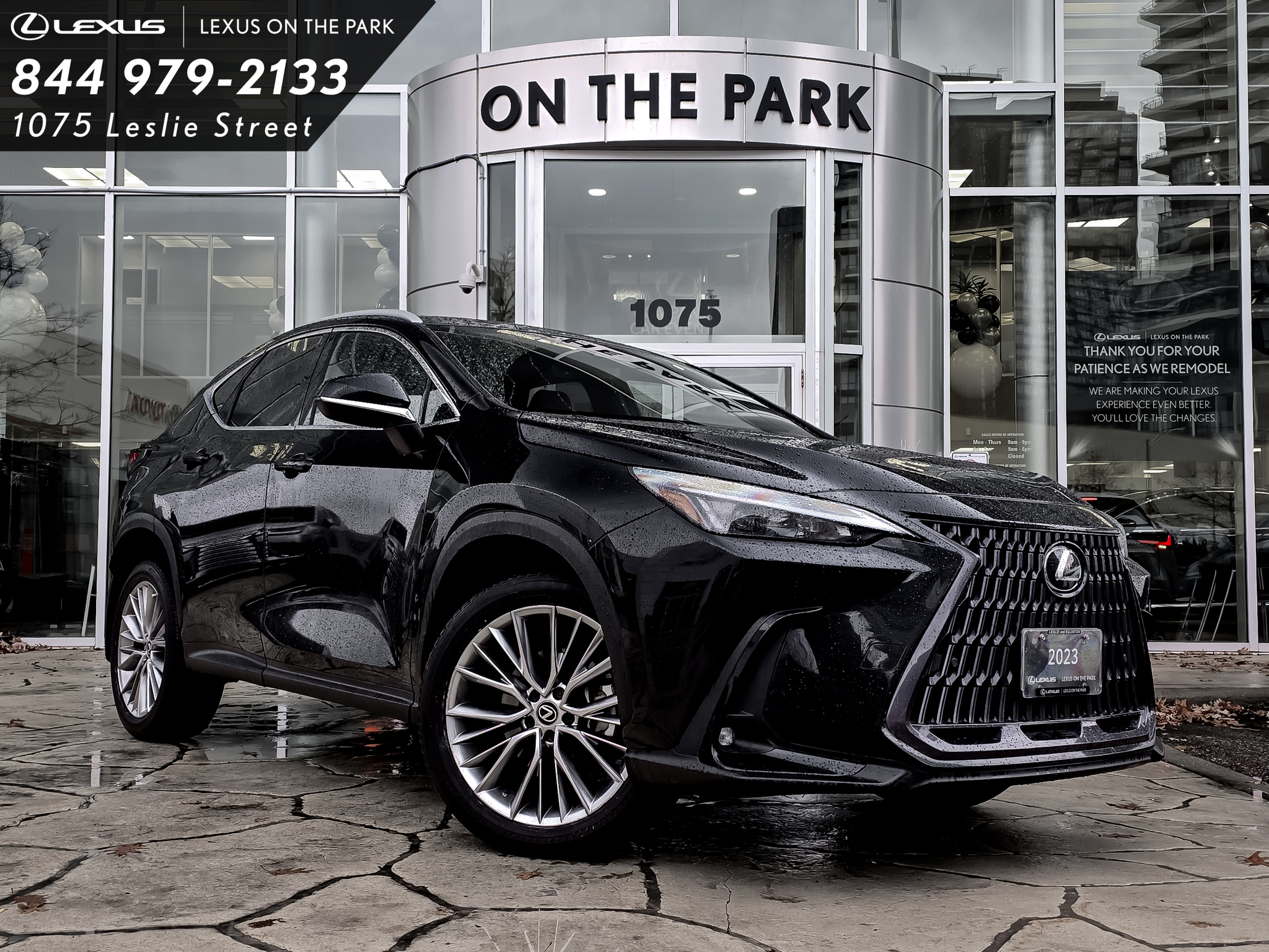 2023 Lexus NX