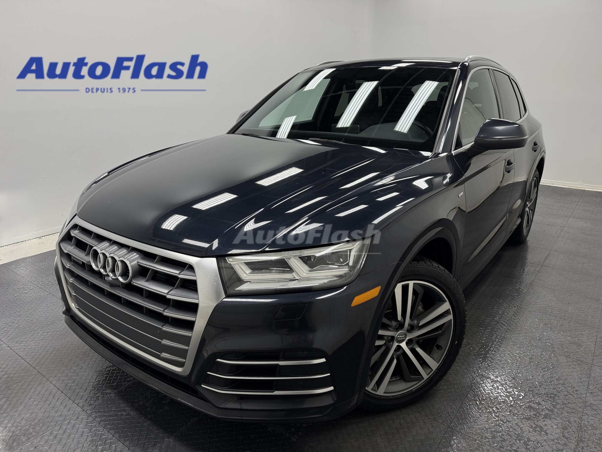 2019 Audi Q5