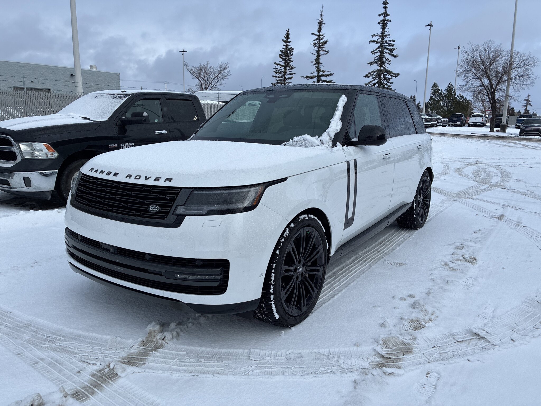 2024 Land Rover Range Rover