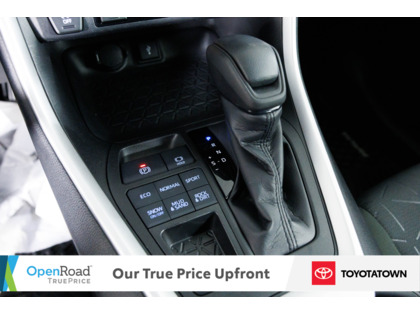 used 2022 Toyota RAV4 car, priced at $34,498