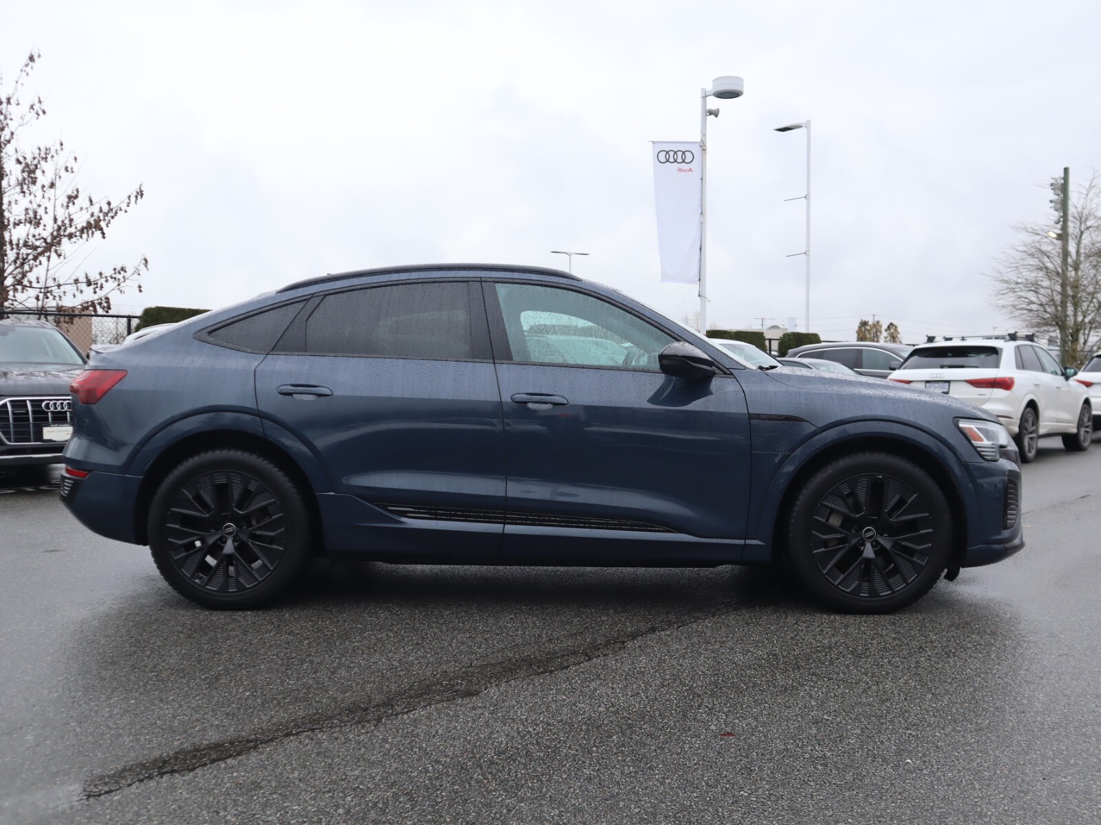 2024 Audi Q8